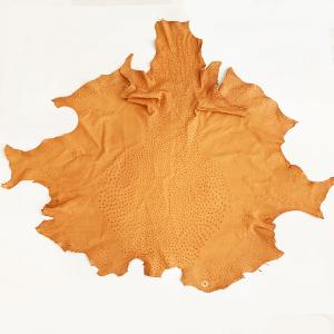 Autruche - Orange - 123 cm