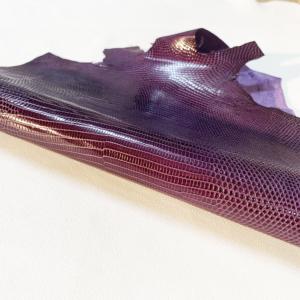 Lézard - Peau Entière - Violet - 28 cm